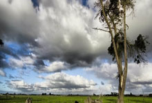 致敬不屈的灵魂,亚残运会十大励志瞬间新蓝网·浙江网络广播电视台.