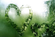 亿万28:798天的等待!41岁阿尔维斯洗脱罪名:无罪释放重获自由.